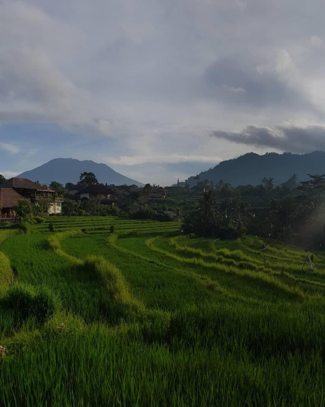 D'Janu Homestay Sidemen  Ngoại thất bức ảnh