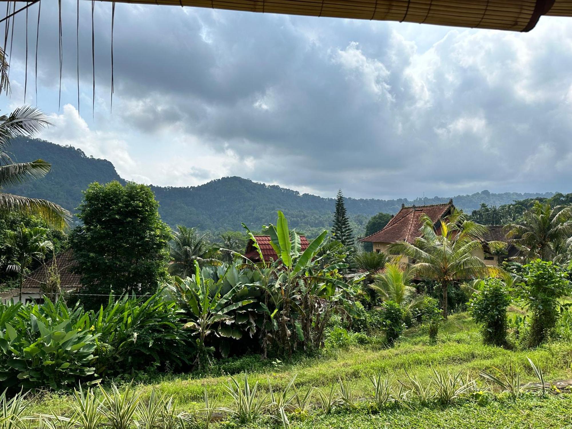 D'Janu Homestay Sidemen  Ngoại thất bức ảnh